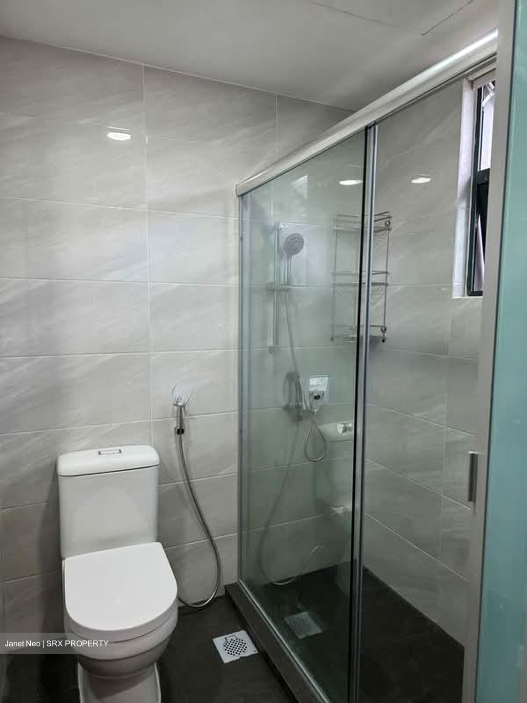Selanting Green (D21), Apartment #555563421